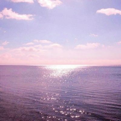 亚博app体育截图